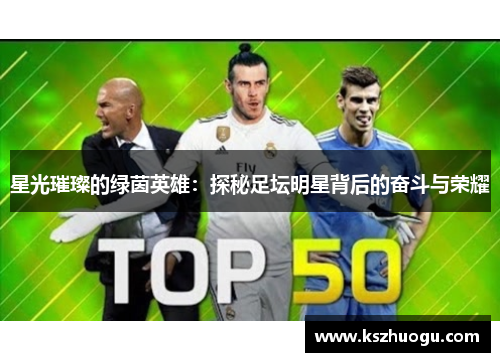 星光璀璨的绿茵英雄：探秘足坛明星背后的奋斗与荣耀