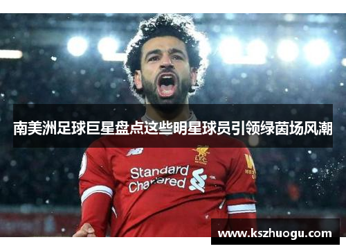 南美洲足球巨星盘点这些明星球员引领绿茵场风潮