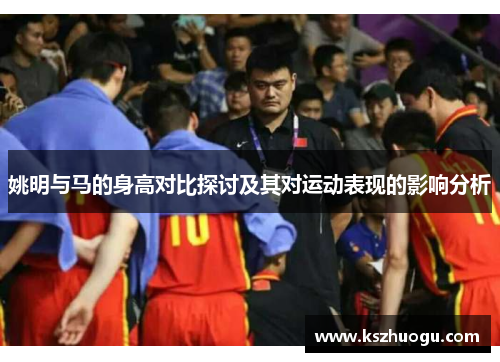 姚明与马的身高对比探讨及其对运动表现的影响分析